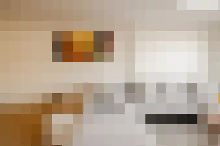 Kampens Kampje 4 Velserbroek thumbnail 10