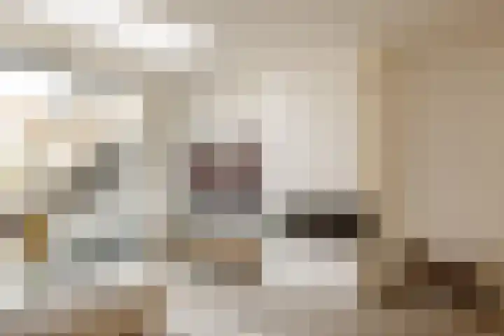 Kampens Kampje 4 Velserbroek thumbnail 11