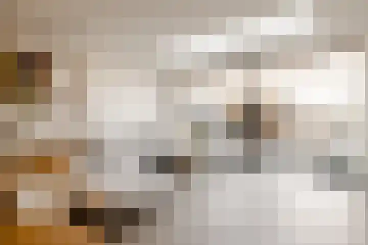 Kampens Kampje 4 Velserbroek thumbnail 12