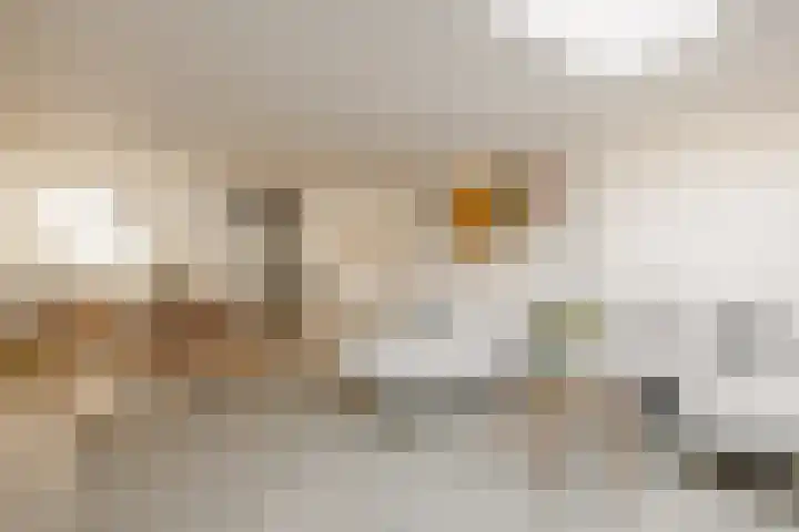 Kampens Kampje 4 Velserbroek thumbnail 13