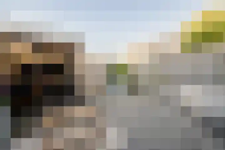 Kampens Kampje 4 Velserbroek thumbnail 23