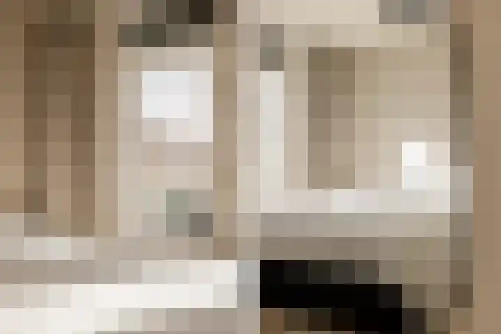 Kampens Kampje 4 Velserbroek thumbnail 36