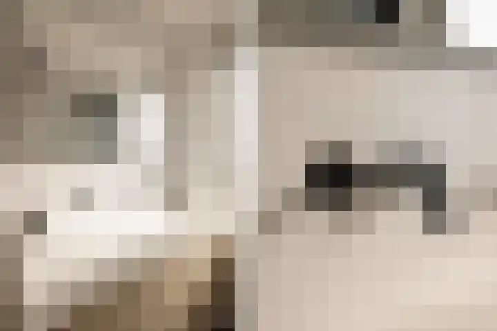 Kampens Kampje 4 Velserbroek thumbnail 39