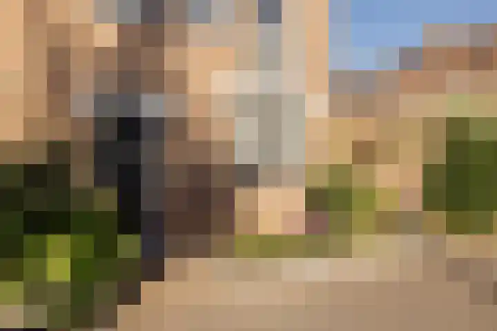 Kampens Kampje 4 Velserbroek thumbnail 4