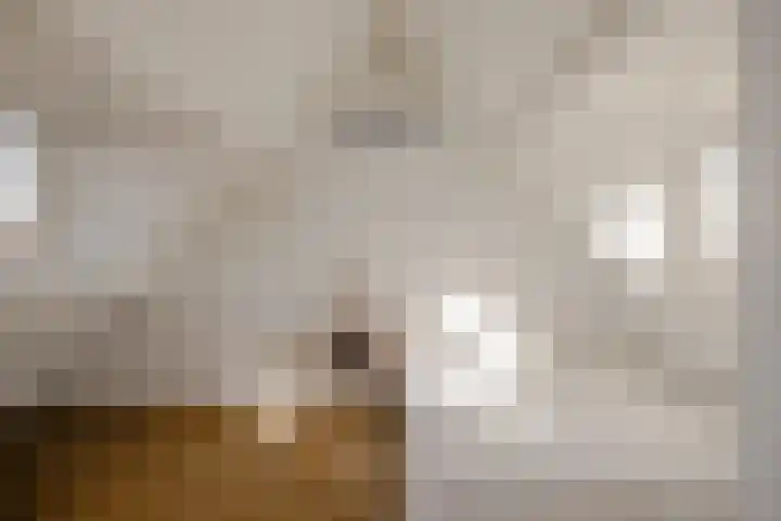 Kampens Kampje 4 Velserbroek thumbnail 41