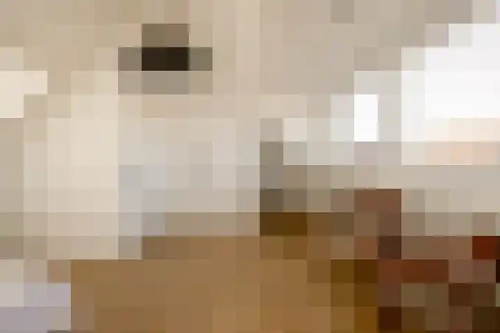 Kampens Kampje 4 Velserbroek thumbnail 42