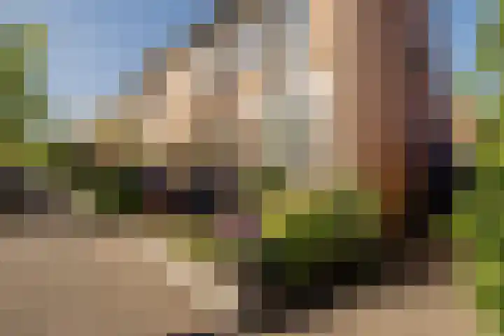 Kampens Kampje 4 Velserbroek thumbnail 44