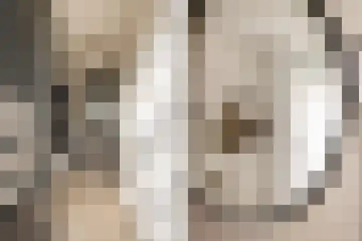 Kampens Kampje 4 Velserbroek thumbnail 5