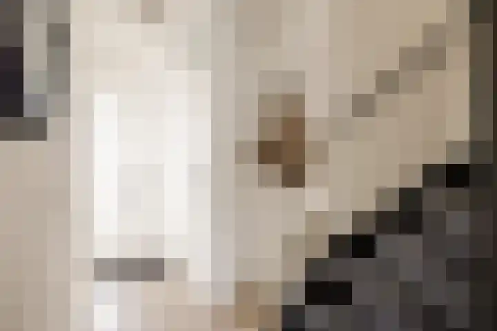 Kampens Kampje 4 Velserbroek thumbnail 6