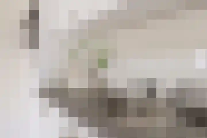 Kamperbinnenpoort 4 A Amersfoort thumbnail 10