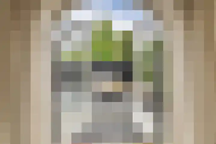 Kamperbinnenpoort 4 A Amersfoort thumbnail 20