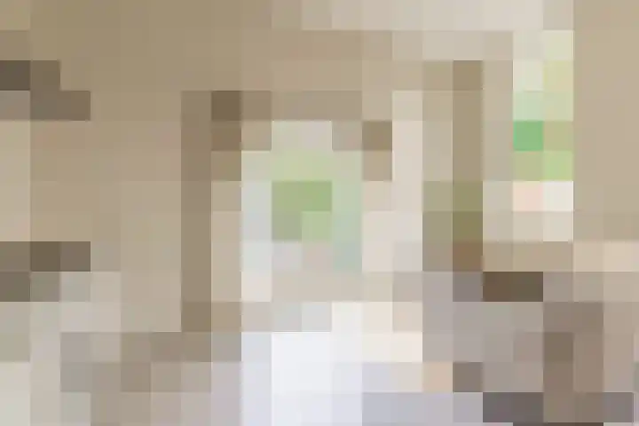 Kamperbinnenpoort 4 A Amersfoort thumbnail 5
