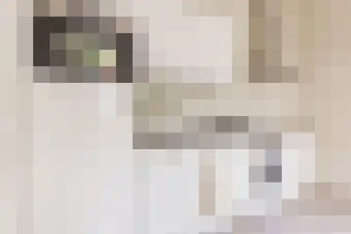 Kamperbinnenpoort 4 A Amersfoort thumbnail 8