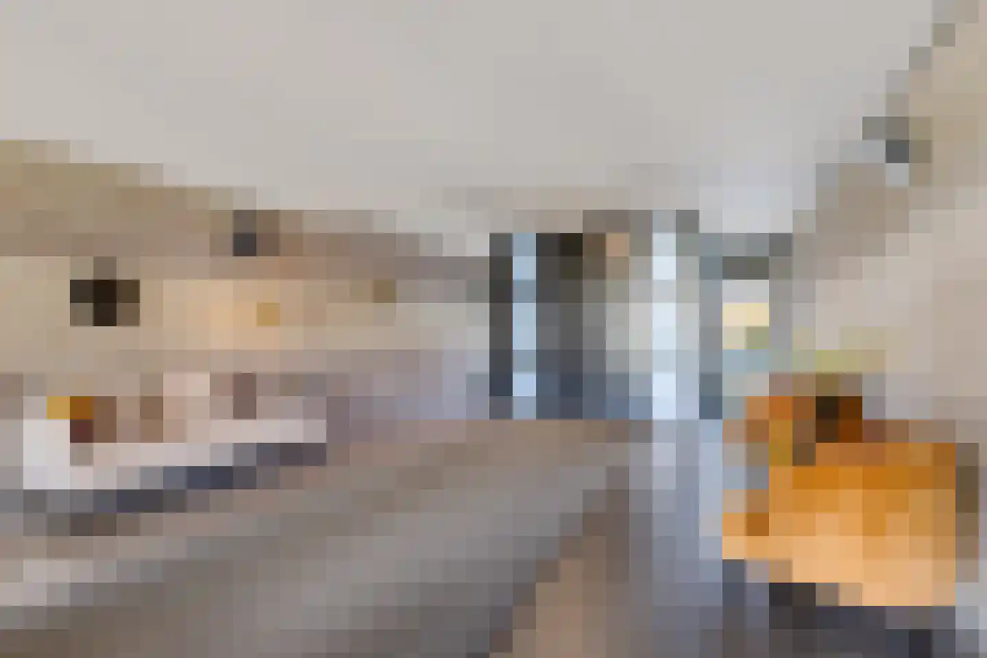 Kamperdijk 64 Genemuiden thumbnail 14