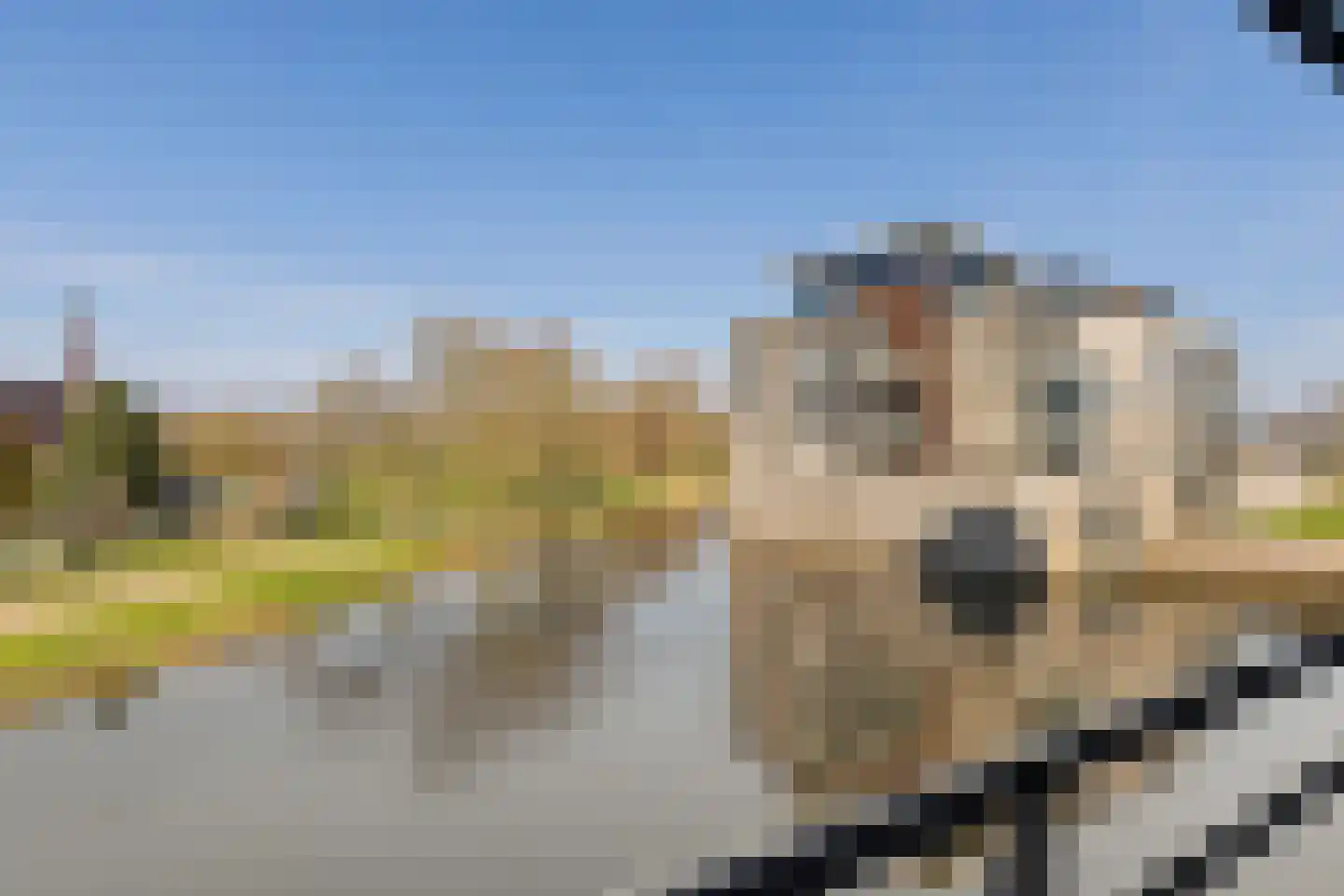 Kamperdijk 64 Genemuiden thumbnail 32