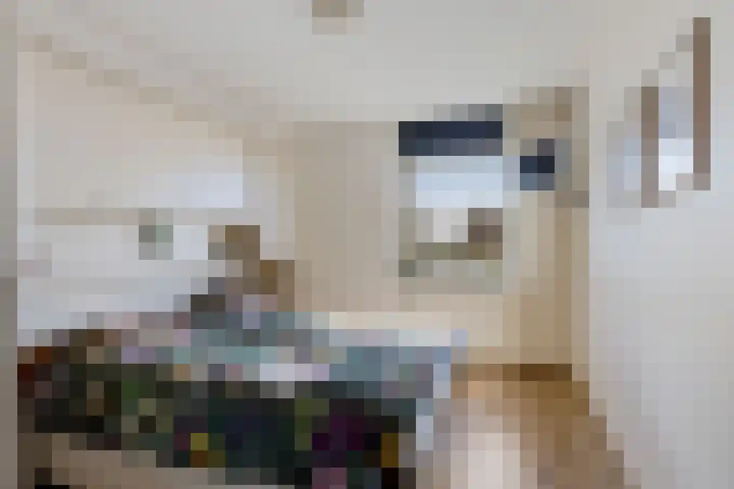 Kamperdijk 64 Genemuiden thumbnail 33