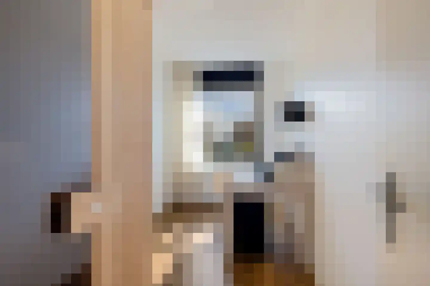 Kamperdijk 64 Genemuiden thumbnail 37