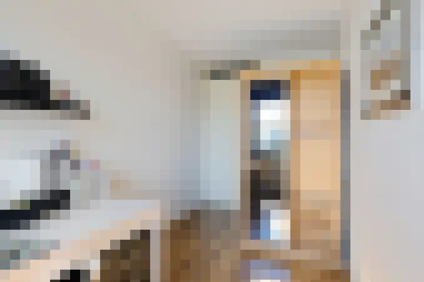 Kamperdijk 64 Genemuiden thumbnail 38