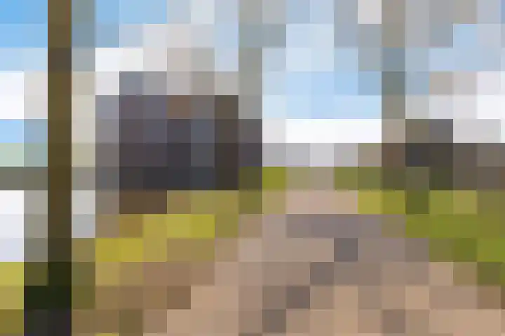 Kamperdijk 64 Genemuiden thumbnail 5