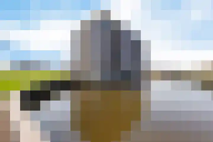 Kamperdijk 64 Genemuiden thumbnail 9
