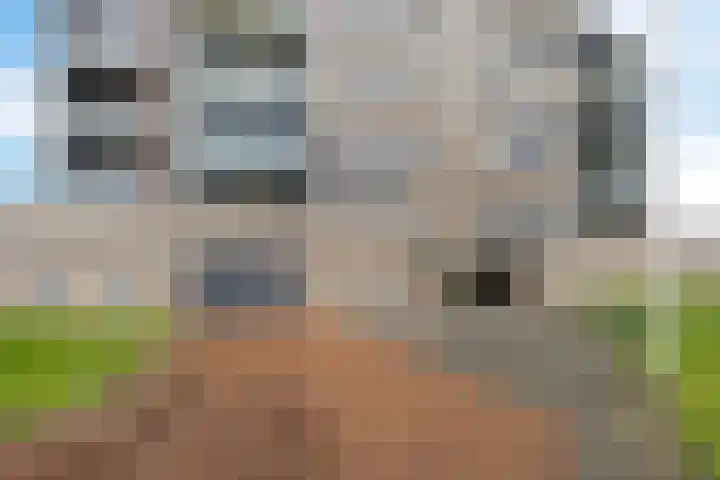 Kamperdijk 72 Genemuiden thumbnail 8