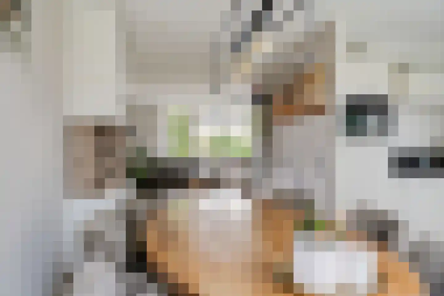 Kampereiland 8 Emmeloord thumbnail 16