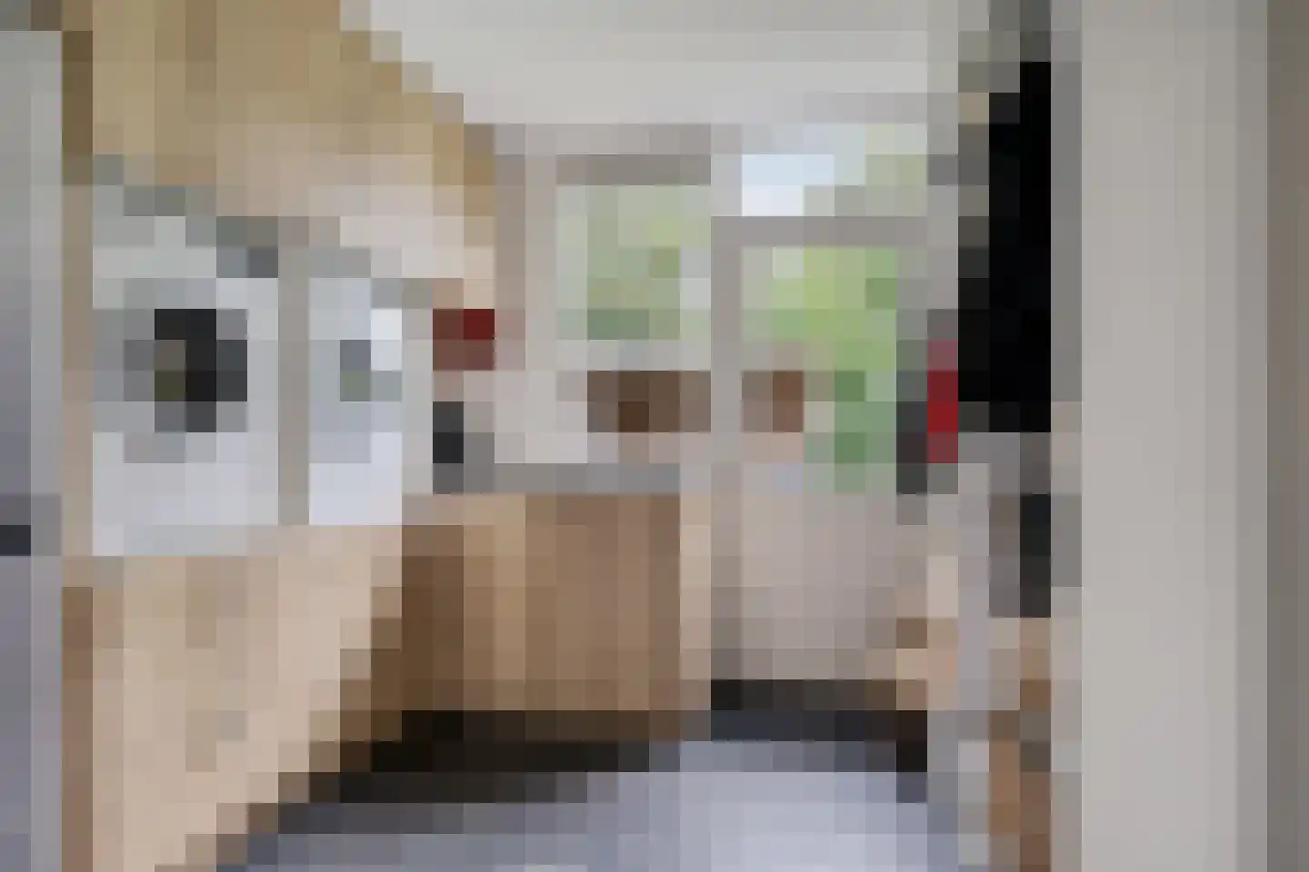 Kampereiland 8 Emmeloord thumbnail 21