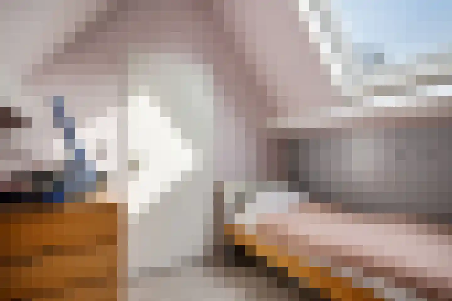 Kampereiland 8 Emmeloord thumbnail 34
