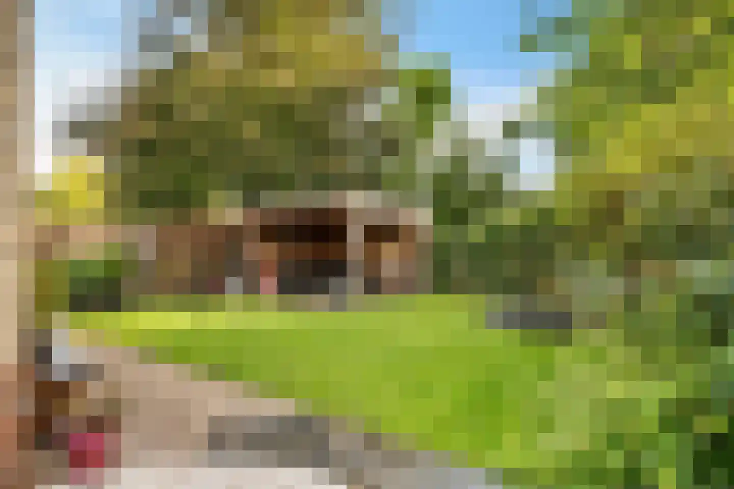 Kampereiland 8 Emmeloord thumbnail 36
