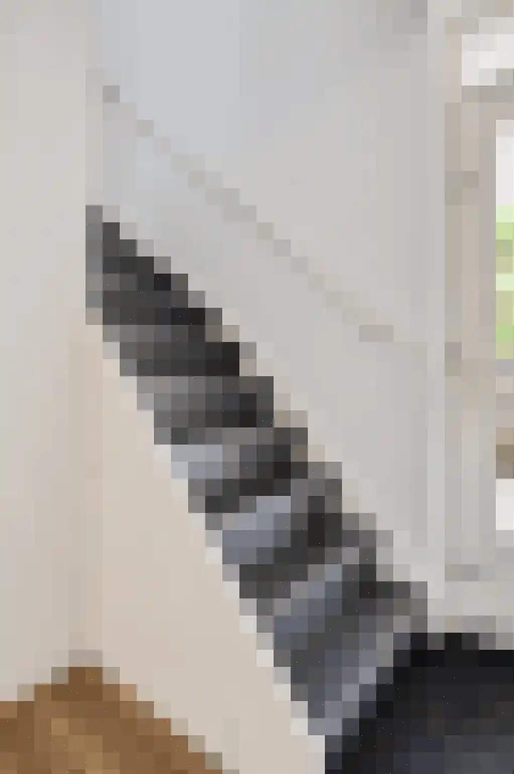 Kampereiland 8 Emmeloord thumbnail 8