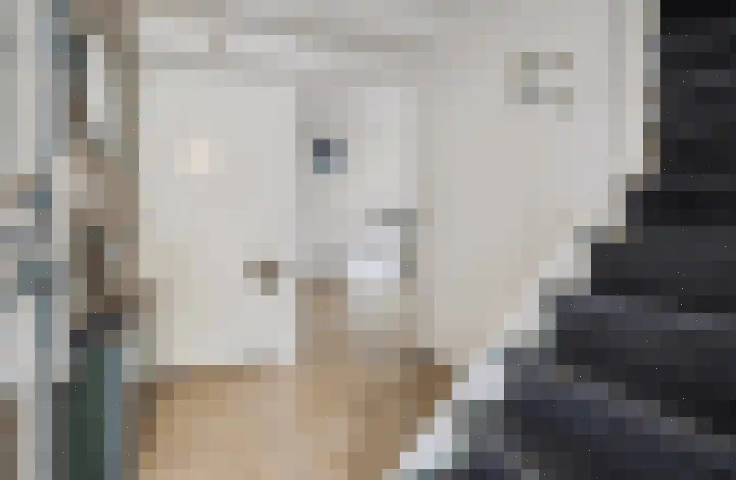 Kampereiland 8 Emmeloord thumbnail 9