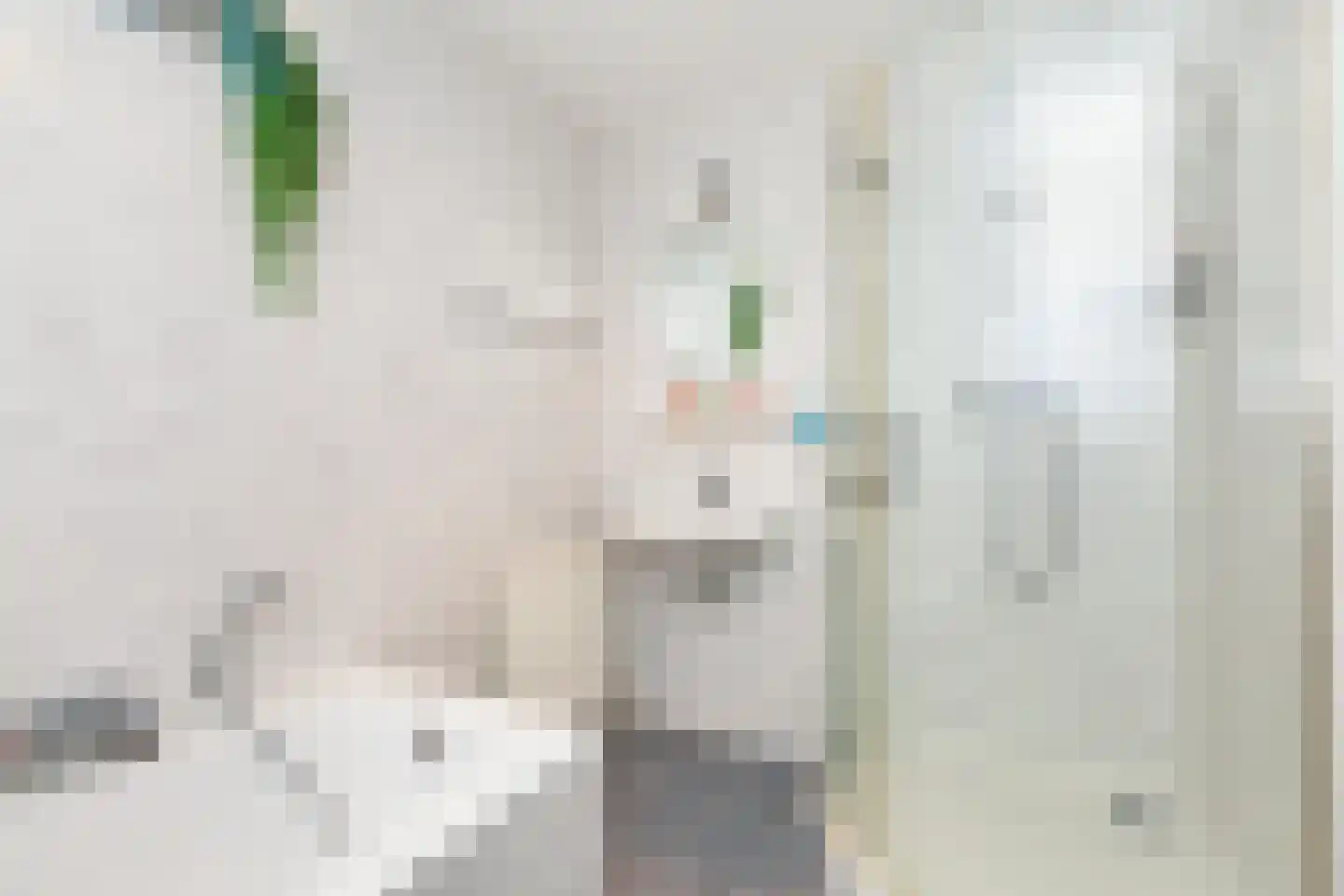 Kamperfoelie 1 Brandwijk thumbnail 26
