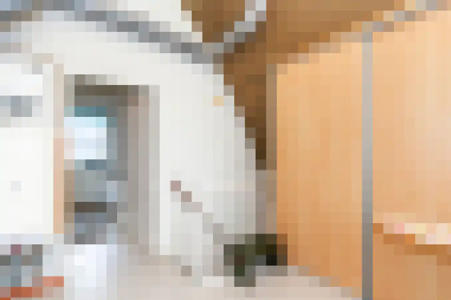 Kamperfoelie 1 Brandwijk thumbnail 31