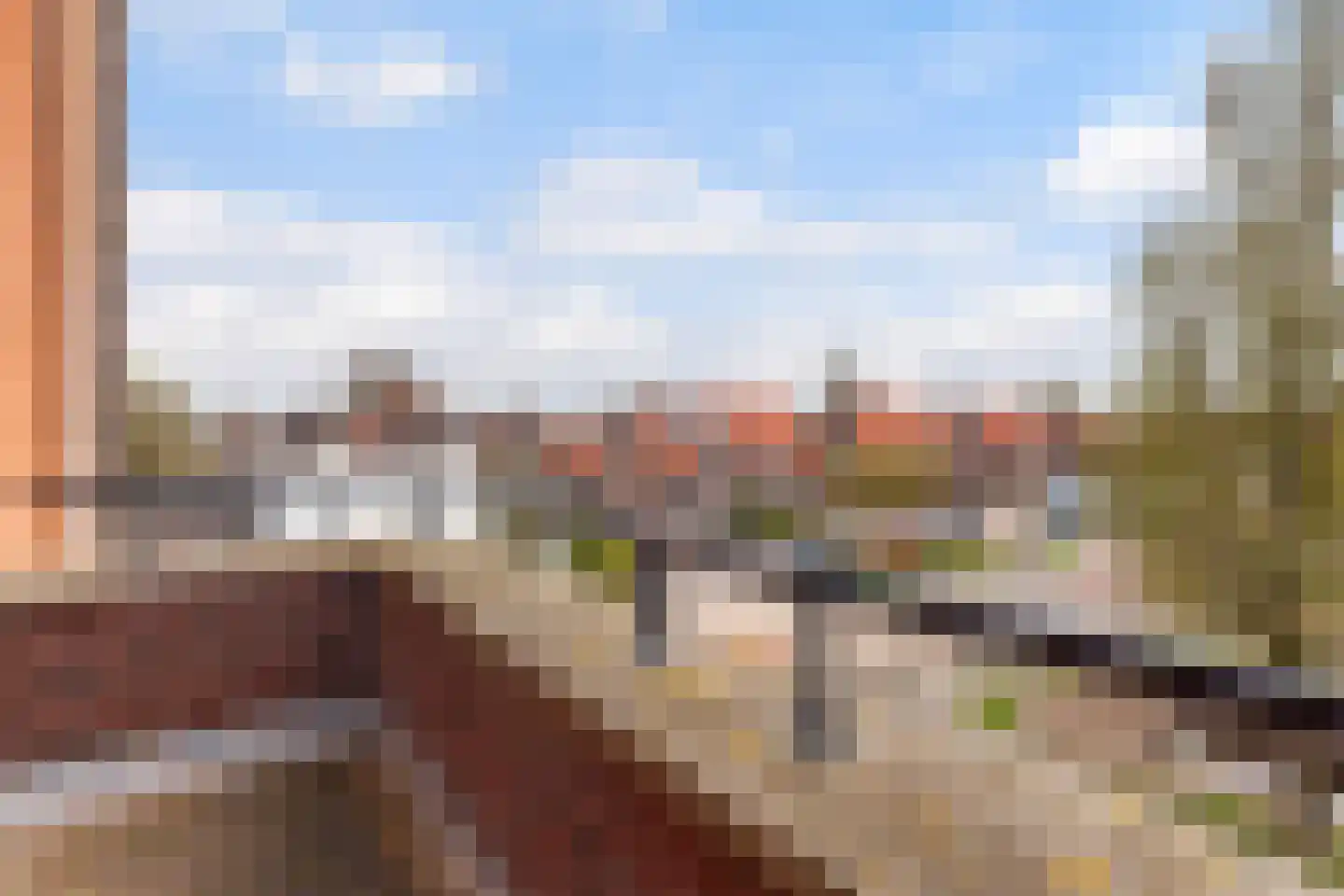 Kamperfoelie 1 Brandwijk thumbnail 32