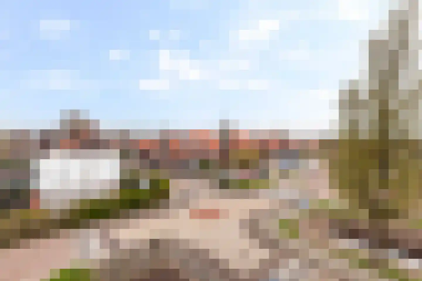 Kamperfoelie 1 Brandwijk thumbnail 33