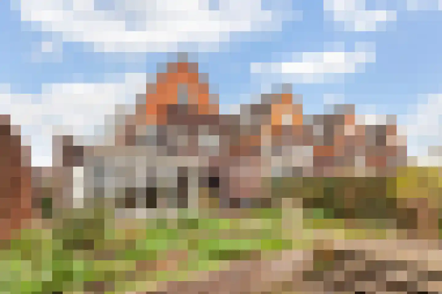 Kamperfoelie 1 Brandwijk thumbnail 39