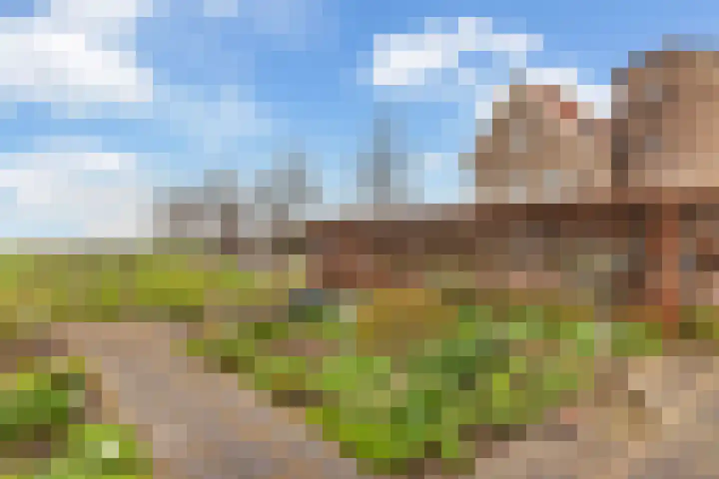 Kamperfoelie 1 Brandwijk thumbnail 42