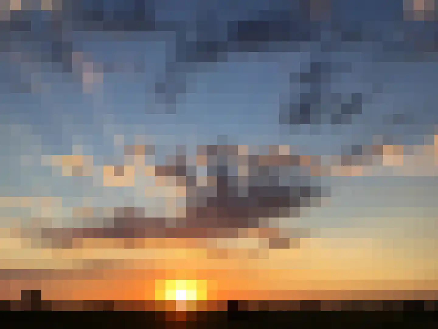 Kamperfoelie 1 Brandwijk thumbnail 47