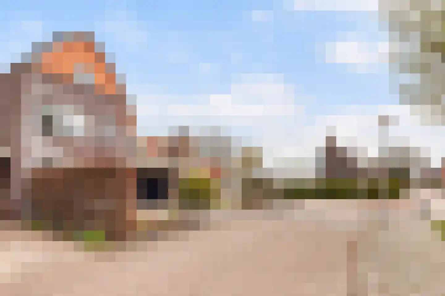 Kamperfoelie 1 Brandwijk thumbnail 49