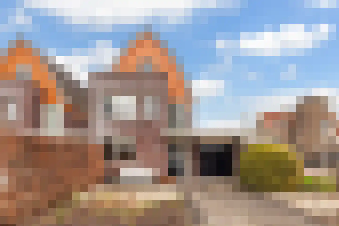 Kamperfoelie 1 Brandwijk thumbnail 50