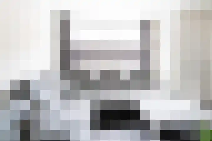 Kamperfoelie 10 Hellevoetsluis thumbnail 10