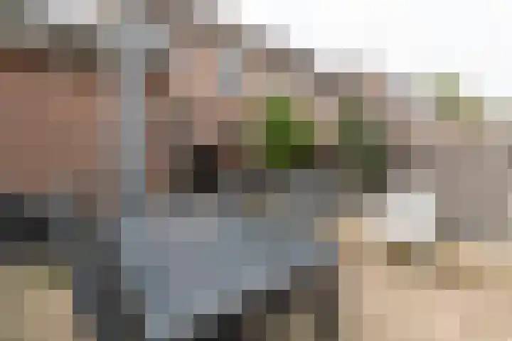 Kamperfoelie 10 Hellevoetsluis thumbnail 47