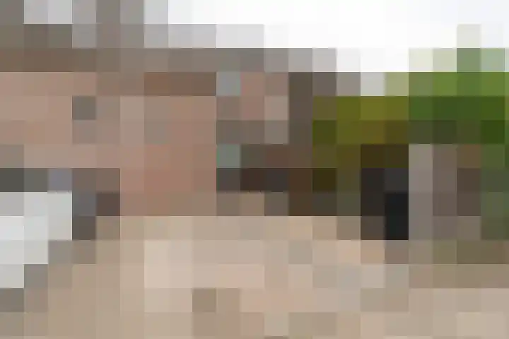 Kamperfoelie 10 Hellevoetsluis thumbnail 51