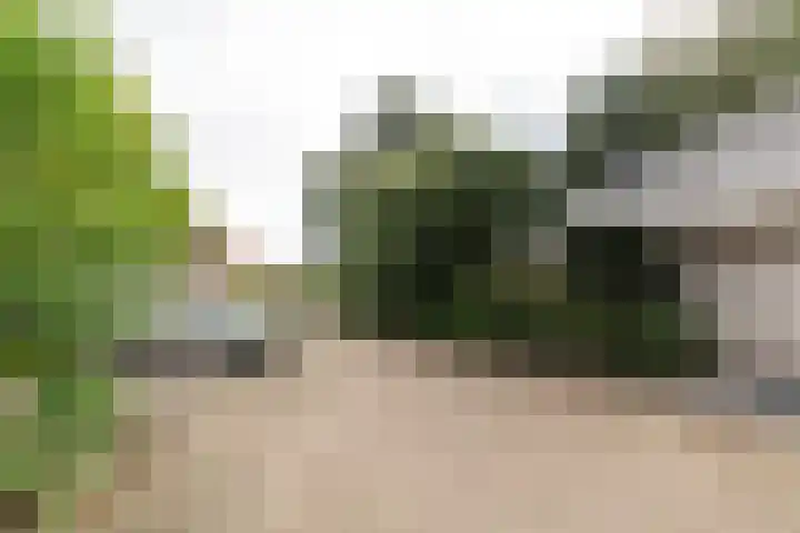 Kamperfoelie 10 Hellevoetsluis thumbnail 54