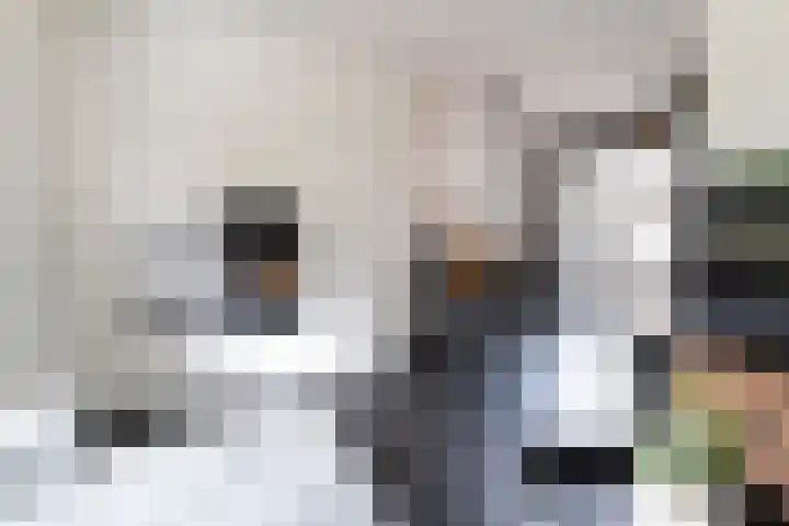 Kamperfoelie 10 Hellevoetsluis thumbnail 8