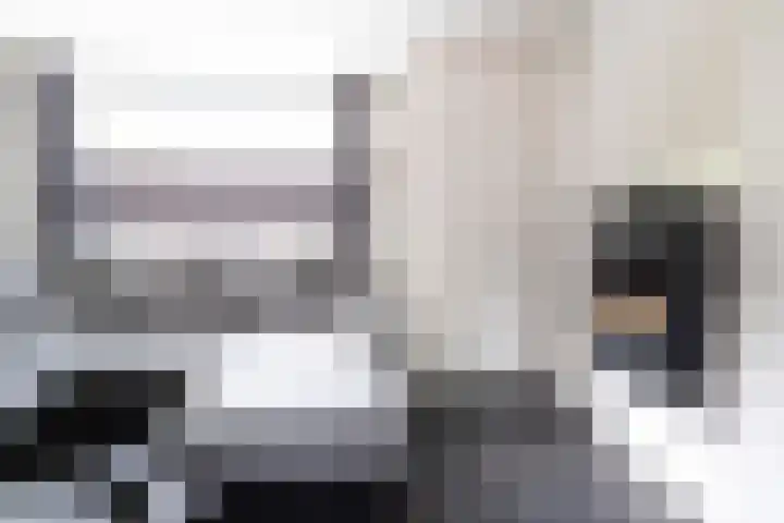 Kamperfoelie 10 Hellevoetsluis thumbnail 9