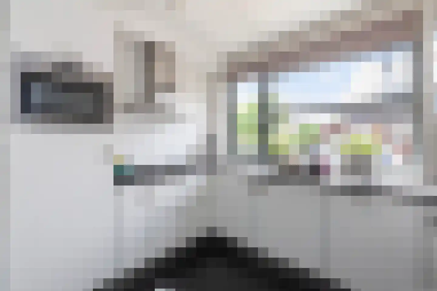 Kamperfoelie 11 Brandwijk thumbnail 14