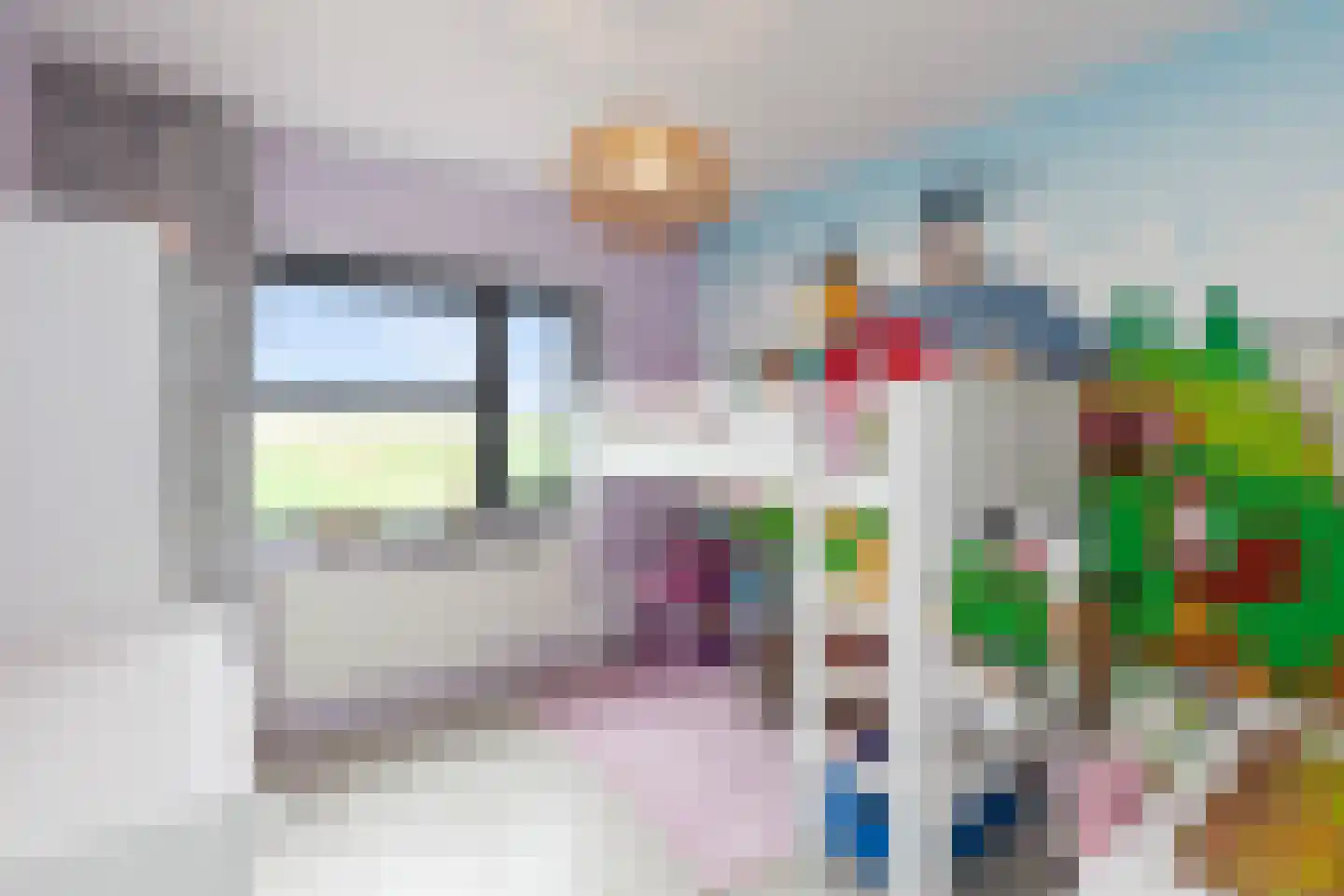 Kamperfoelie 11 Brandwijk thumbnail 21