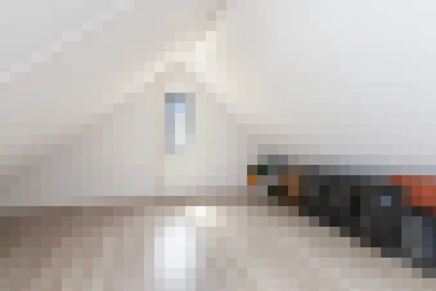Kamperfoelie 11 Brandwijk thumbnail 25