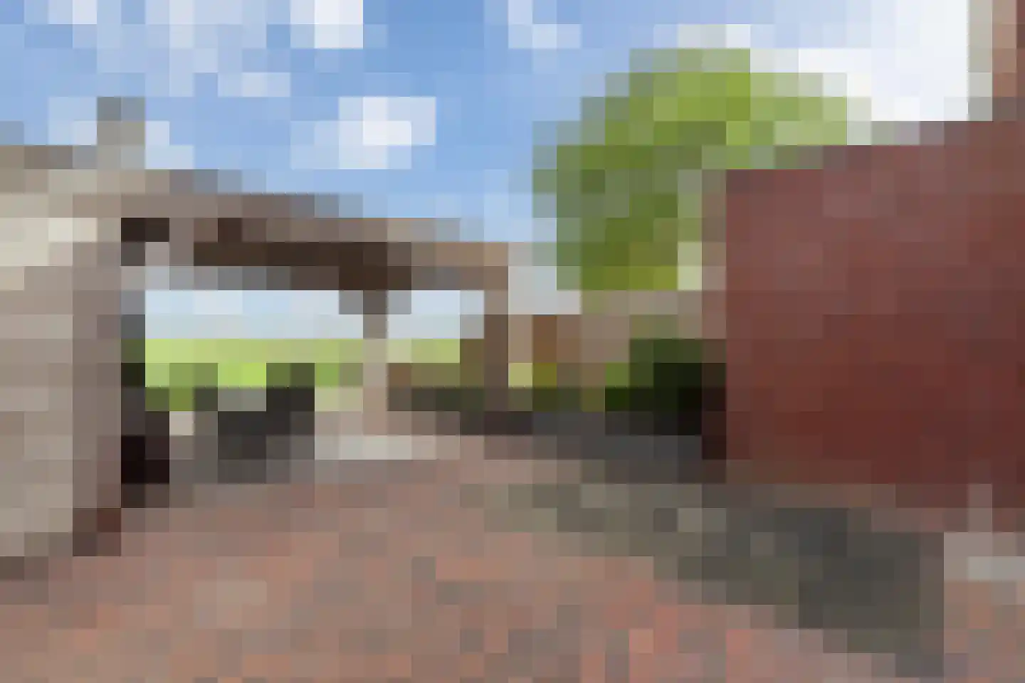 Kamperfoelie 11 Brandwijk thumbnail 27